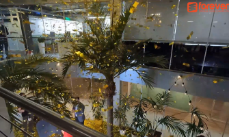 Zelta konfetī Evolution Gaming apbalvošanas video ierakstā Zelta konfetī Evolution Gaming apbalvošanas video ierakstā